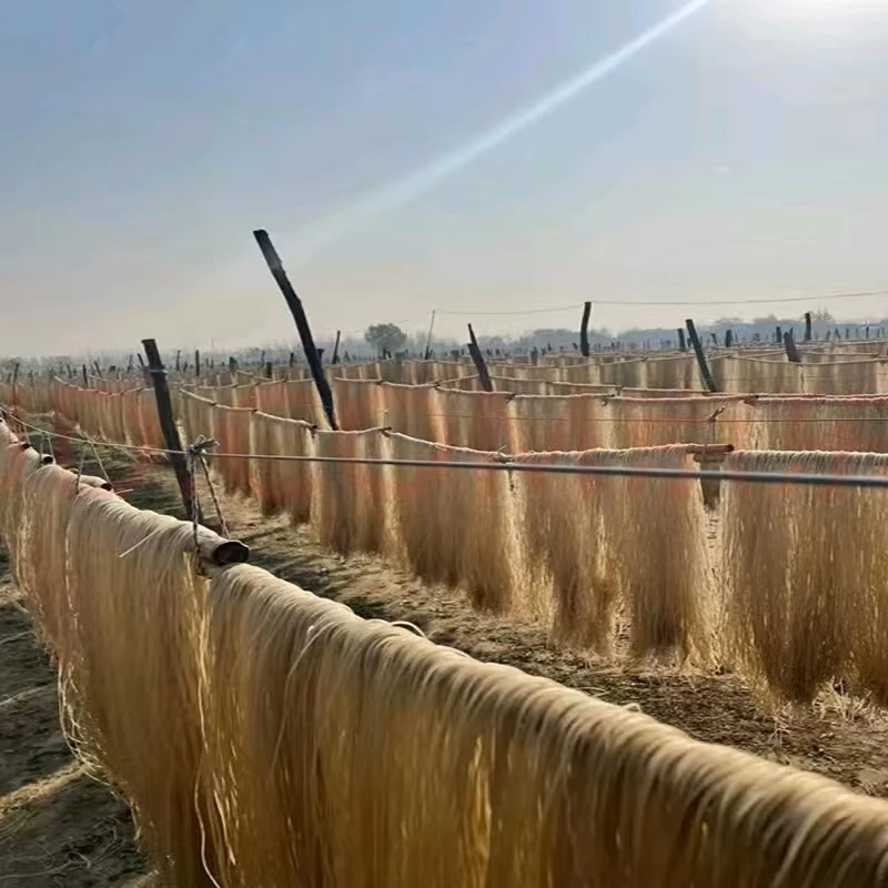 赵集正中红薯粉条