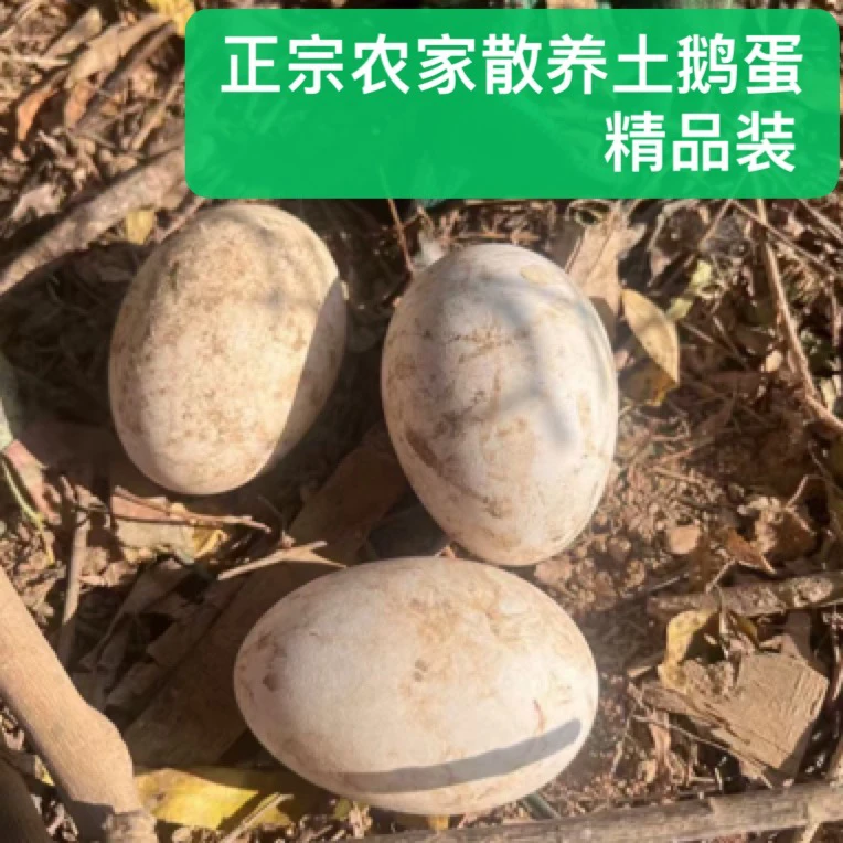 【劲爆 正宗农家散养土鹅蛋精品装】孕妇宝宝老人小孩营养需求送礼