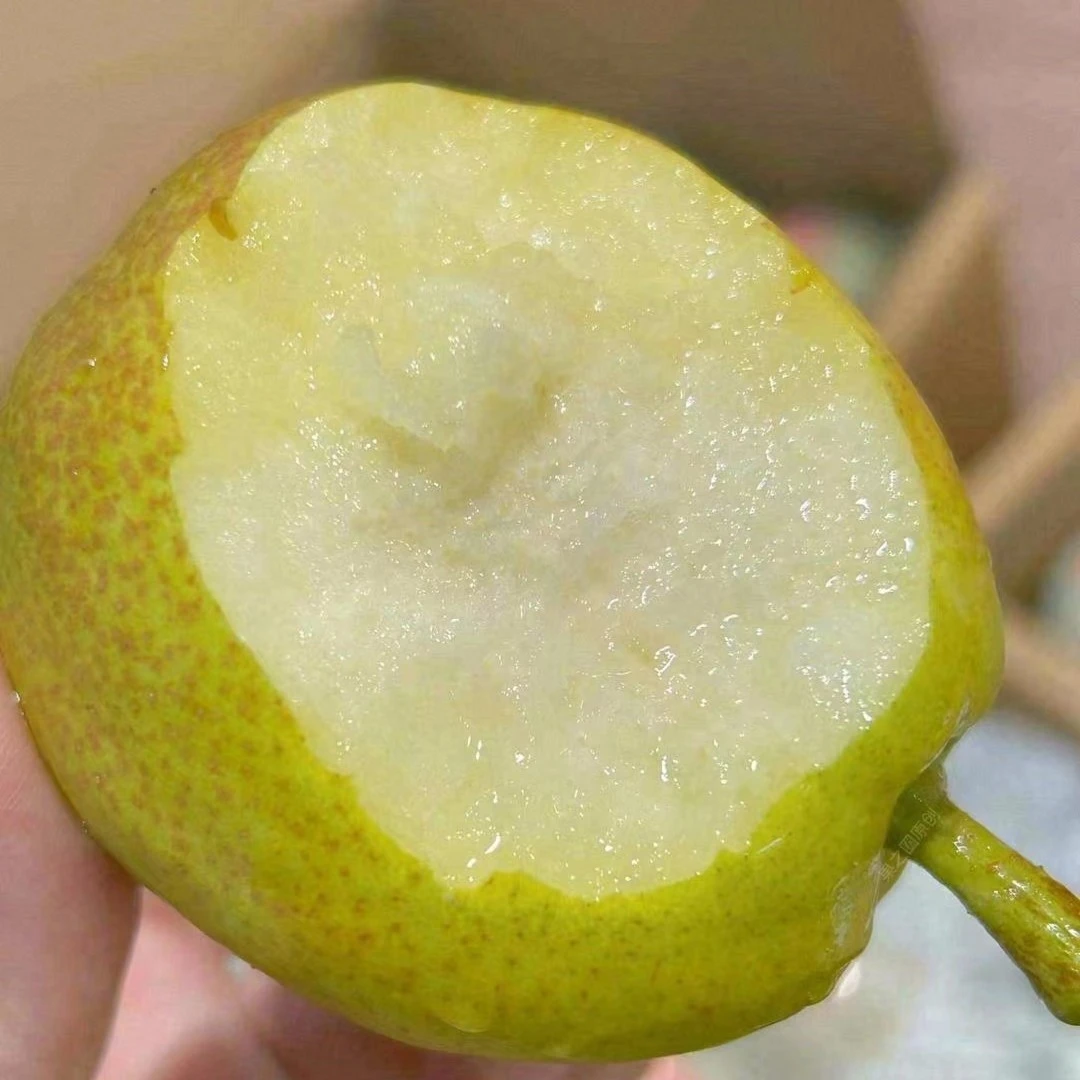 h新疆库尔勒香梨【净13斤】甘甜酥脆 每咬一口都有清脆的水声