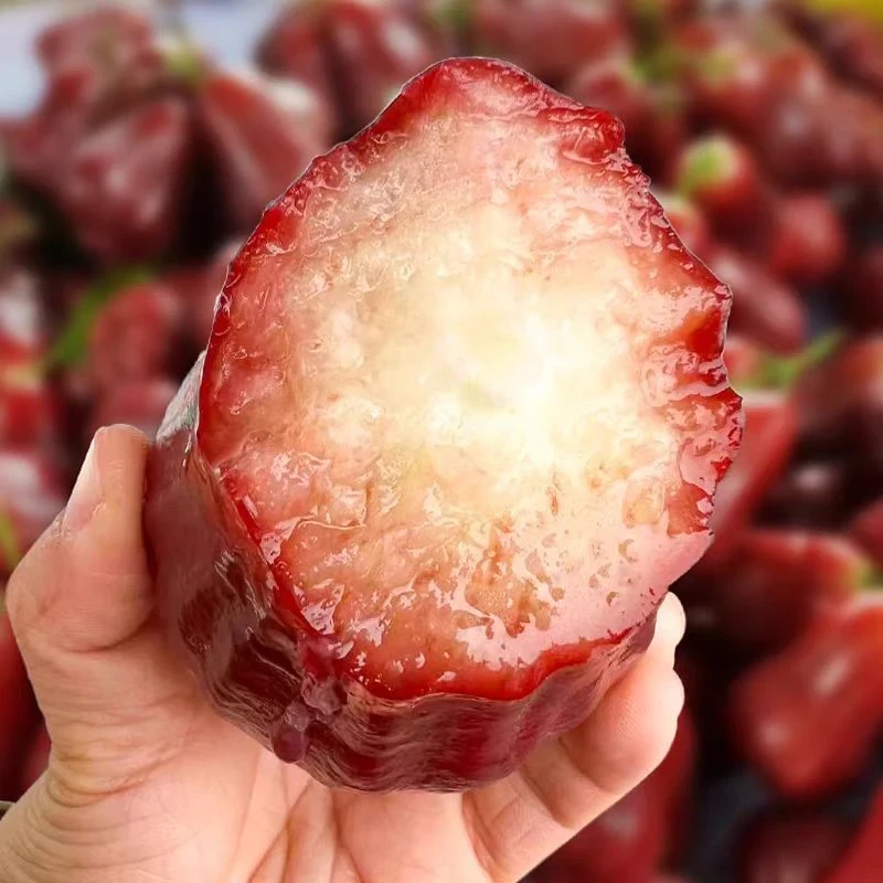 【新鲜水果】莲雾新鲜脆甜多汁 同城小时达