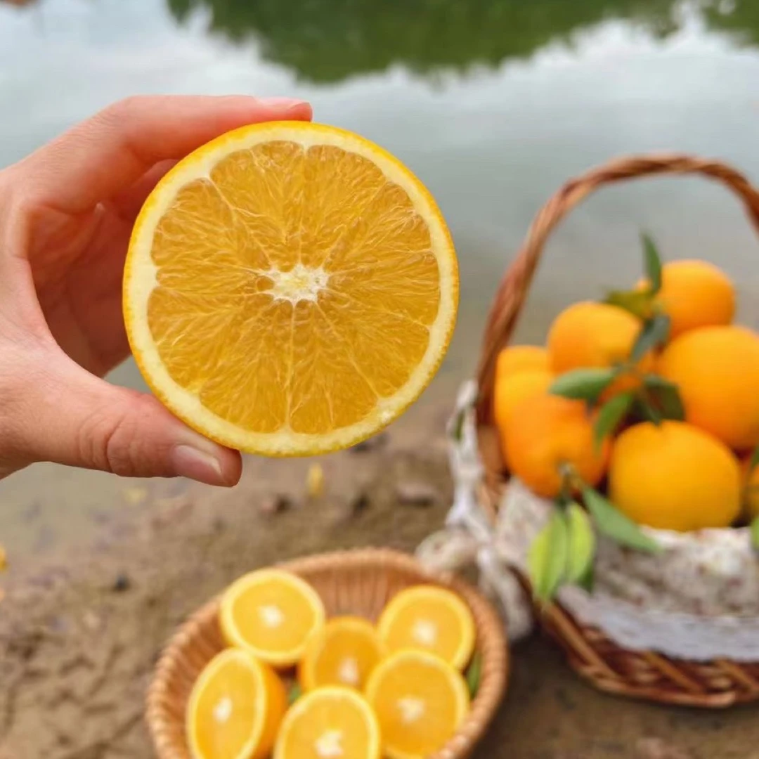 赣南信丰安西标精品脐橙20斤新鲜臻品包赔宣【九省包邮】