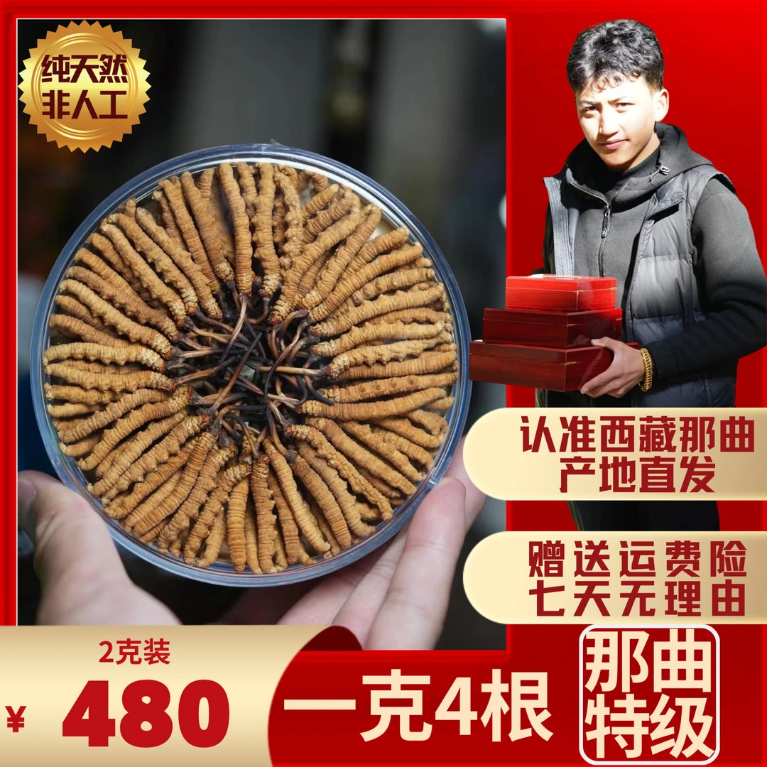 冬虫夏草西藏那曲虫草高海拔2024年头茬精品 虫草 阿桑那曲直供