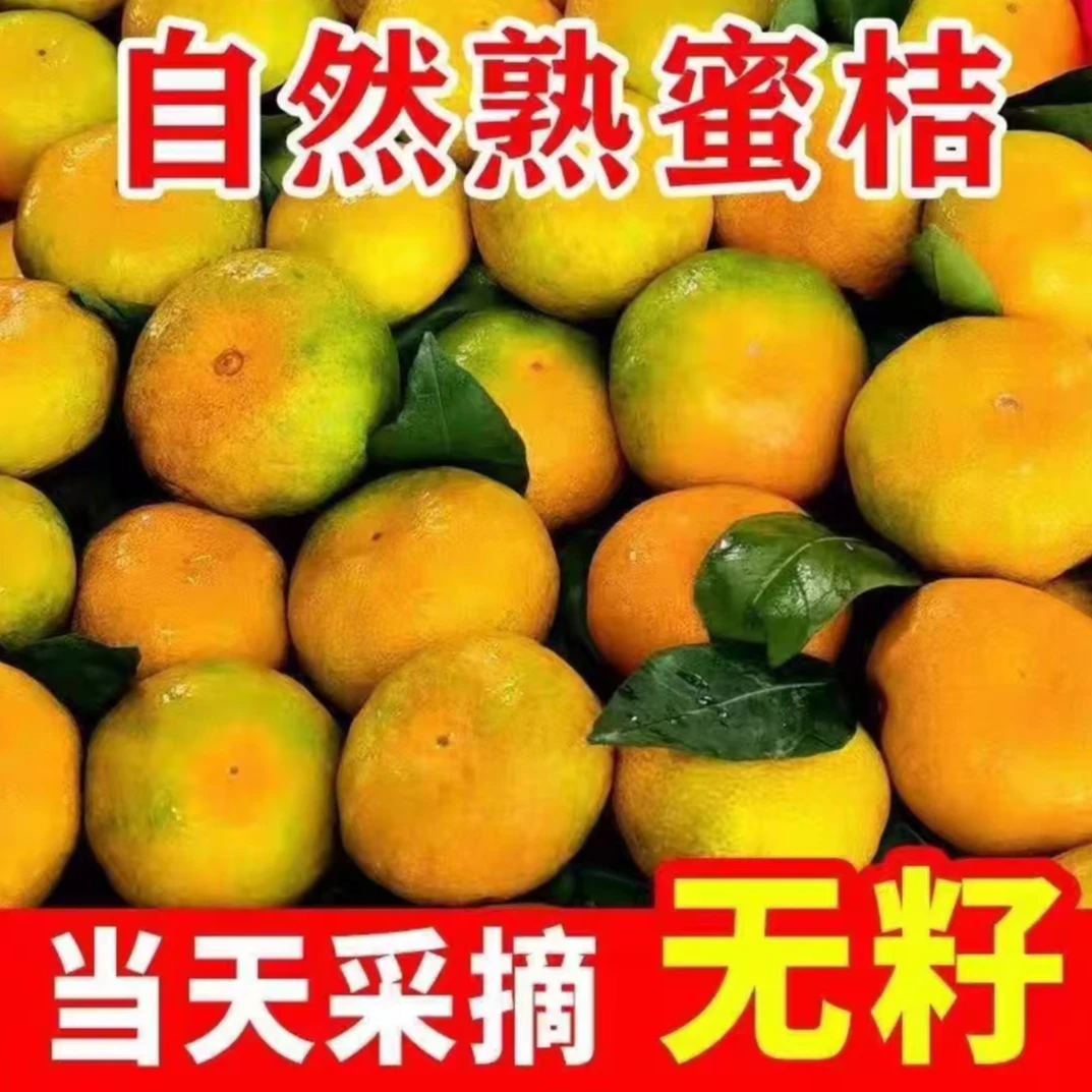 宜昌高山蜜桔薄皮蜜桔橘子应季水果整箱发货