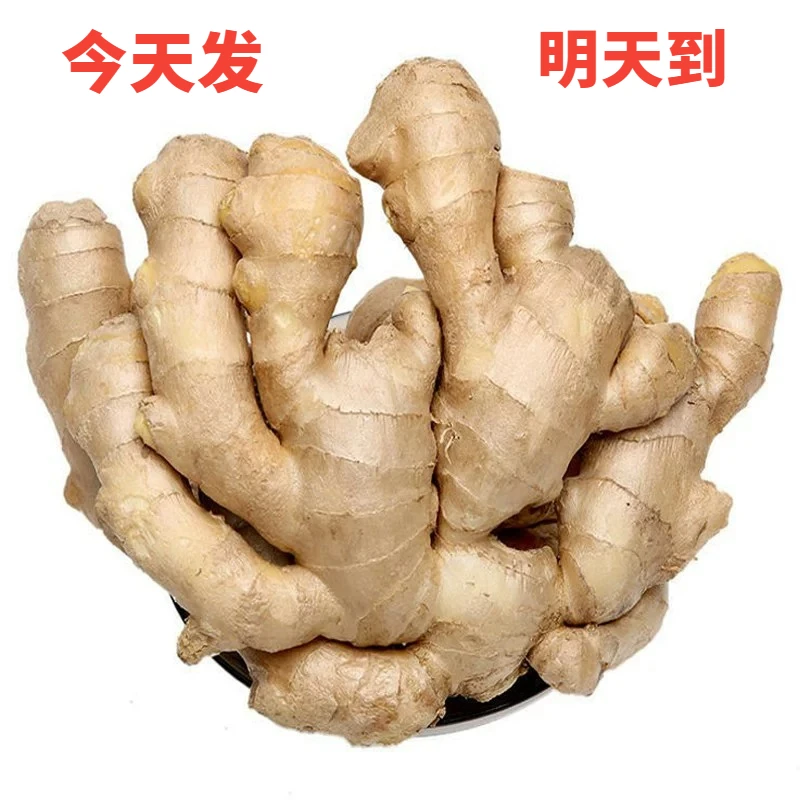 干姜姜块包赔自产大黄姜本地干净发货现发老姜母水洗山地产地晾干