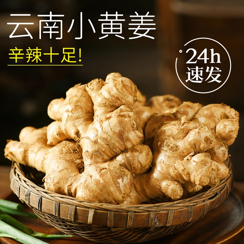 云南小黄姜新鲜现挖生姜非老姜嫩姜仔姜纯正山地黄姜辛辣十足包邮