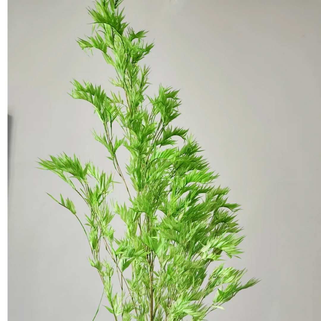 【君子竹】永生竹子高度100-130cm家具客厅装饰花材配草高端摆件