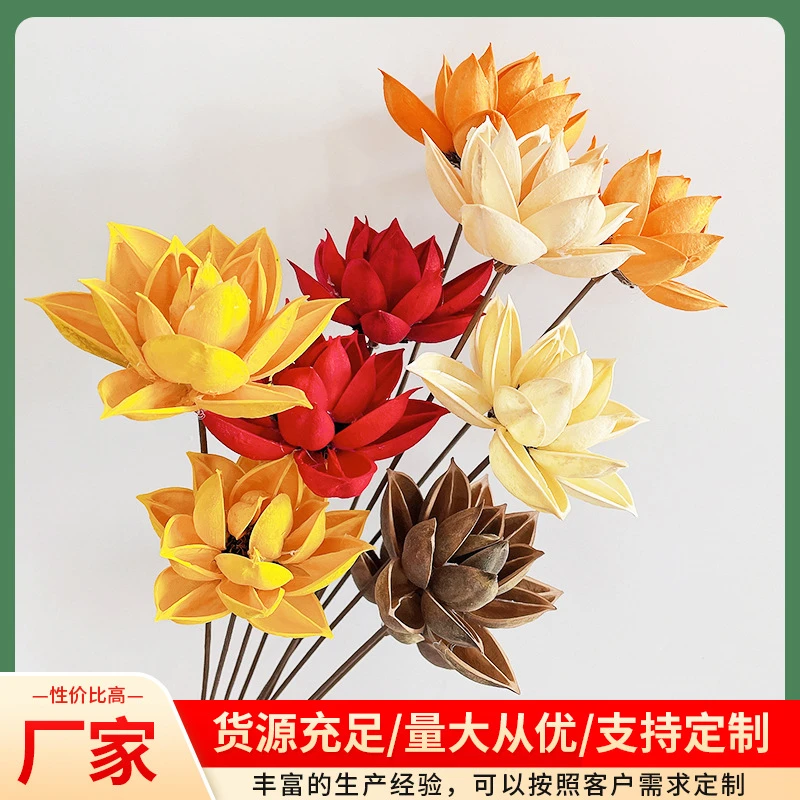 【紫荆花】 紫荆花装饰摆设云南荷花荷花木莲花 花束搭配花干花