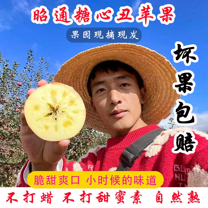 云南昭通冰糖心丑苹果新鲜水果 现摘红富士苹果脆甜多汁2/5/9斤装