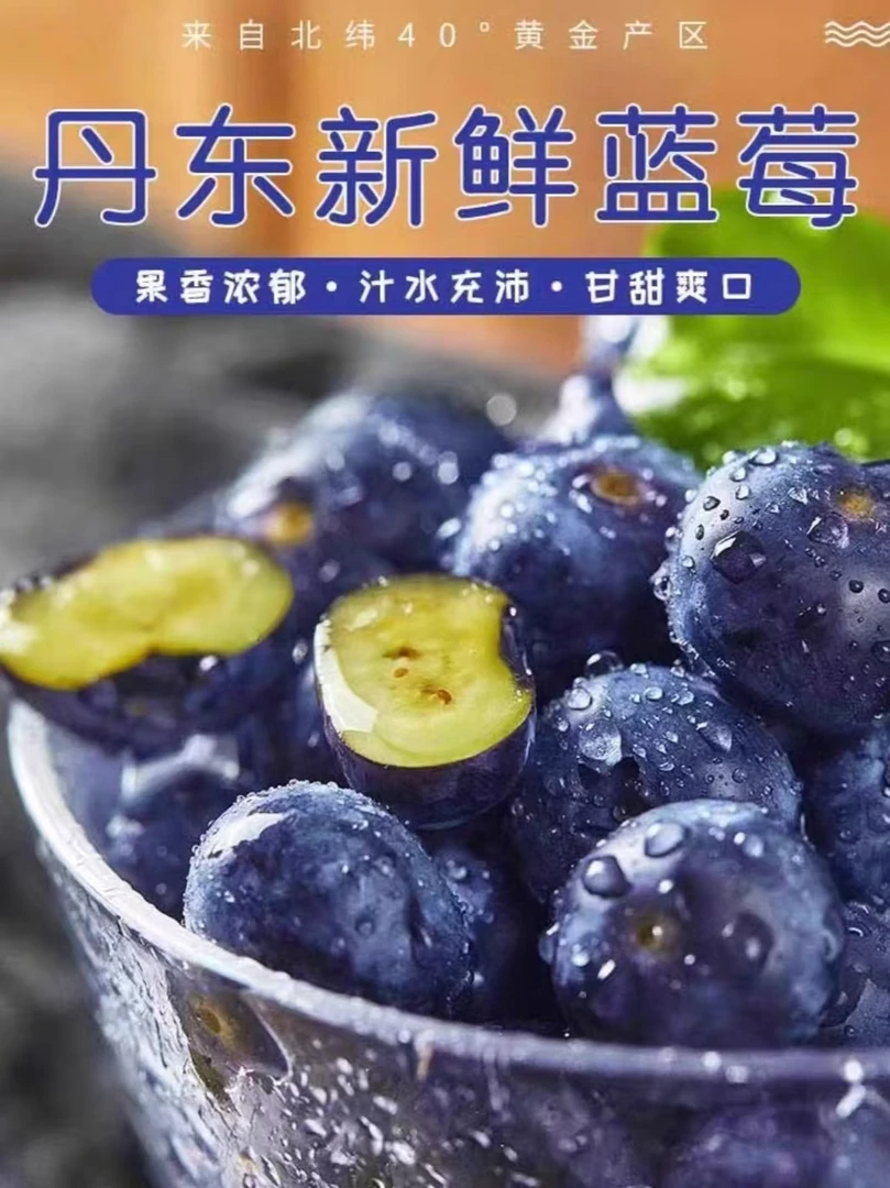丹东新鲜蓝莓产地现摘现发顺丰包邮清香脆甜多汁冷藏保存口感更佳