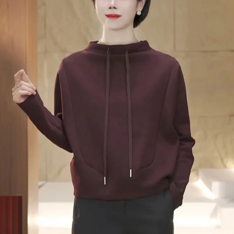 高含棉时尚立领长袖卫衣女2025春秋季新款洋气高级感宽松显瘦上衣