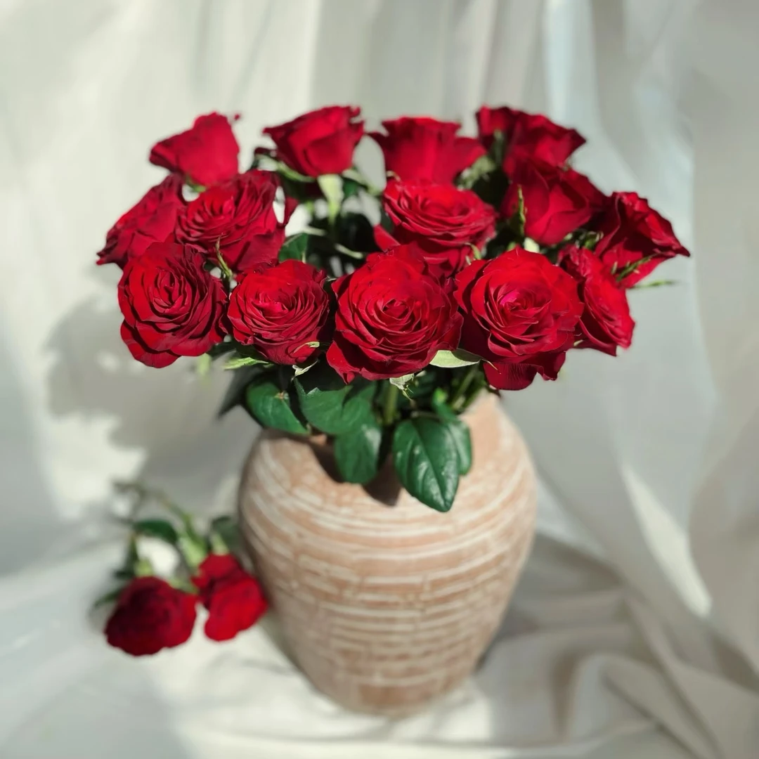 【爱马仕高原红】云南基地鲜花新鲜高品质1单普通快递 2单顺丰/京东