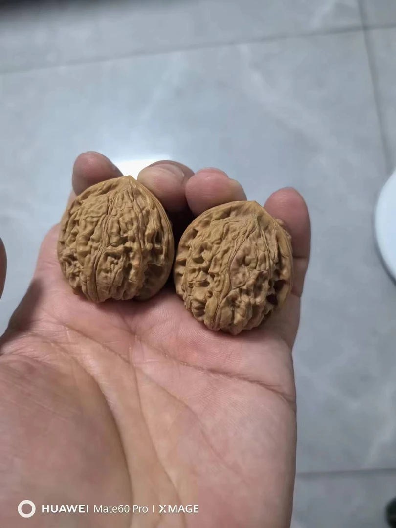 随机文玩核桃一对。感谢大哥们的参与。