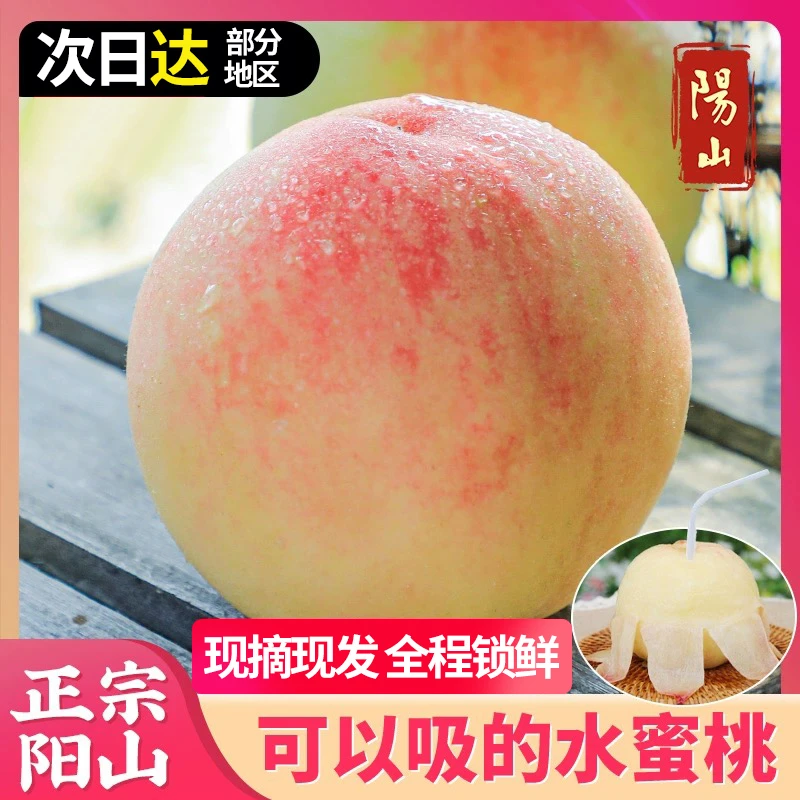 【7-8两桃王爸爸】正宗无锡阳山水蜜桃新鲜水果应季白凤湖景礼盒su