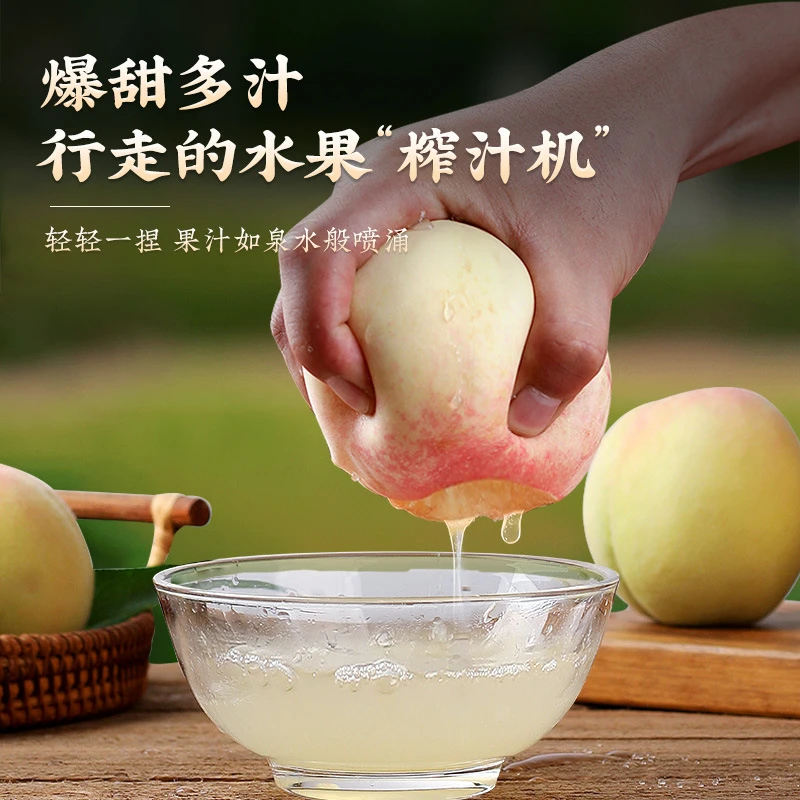 【精品果王5-6两】正宗无锡阳山水蜜桃新鲜水果日川白凤湖景礼盒