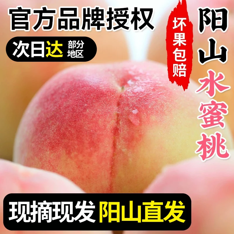 【5-6两桃王】精品果正宗无锡阳山水蜜桃新鲜水果白凤湖景礼盒装
