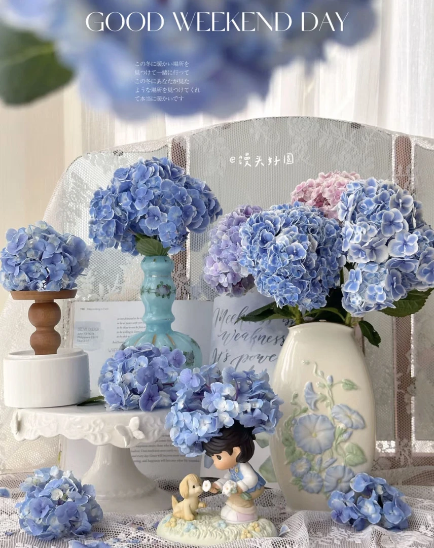 【小阿阮优选】 孔雀绣球鲜花鲜切花 云南直发 顺丰冷链包邮