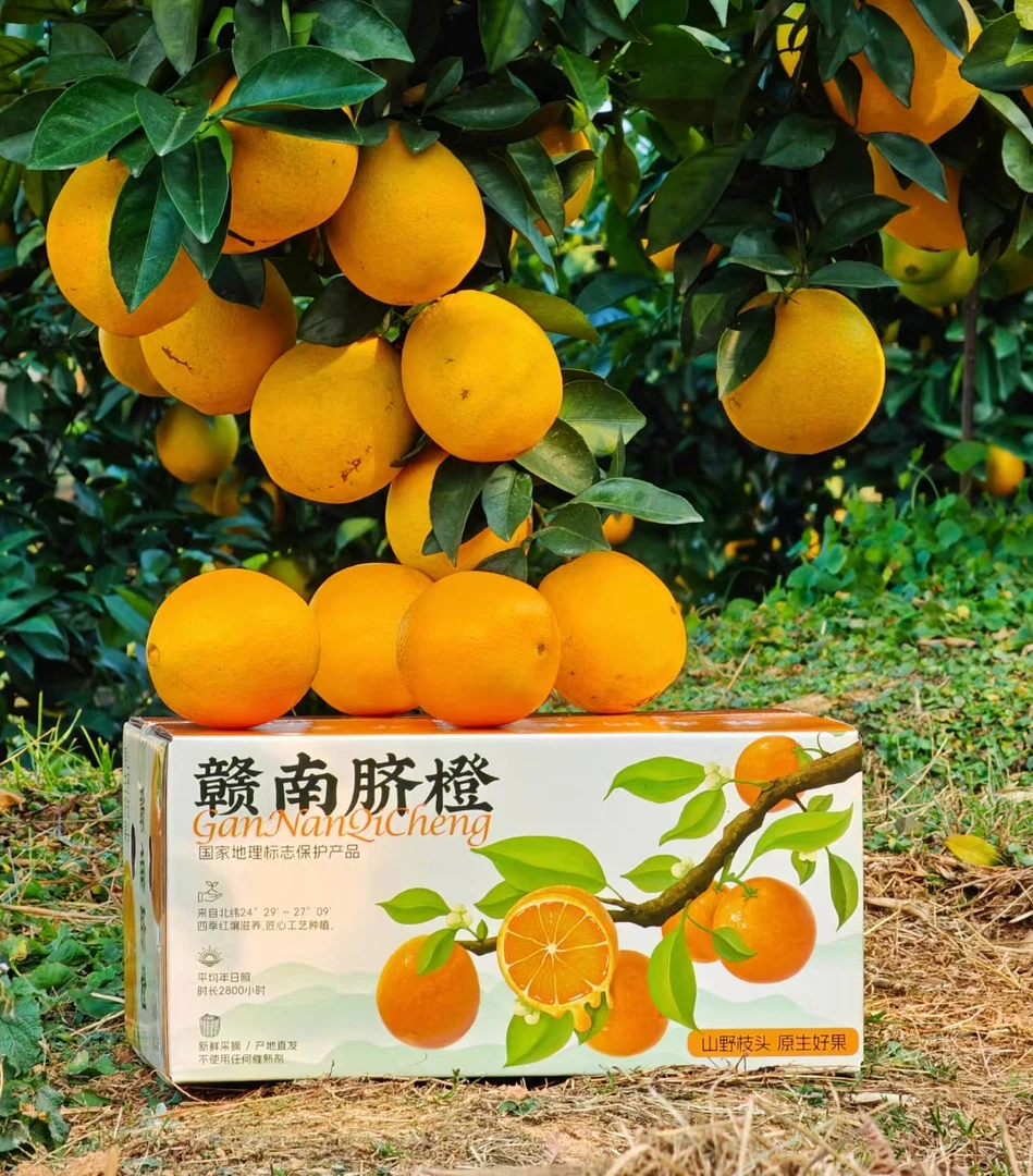 赣南脐橙产地直发小果106g起