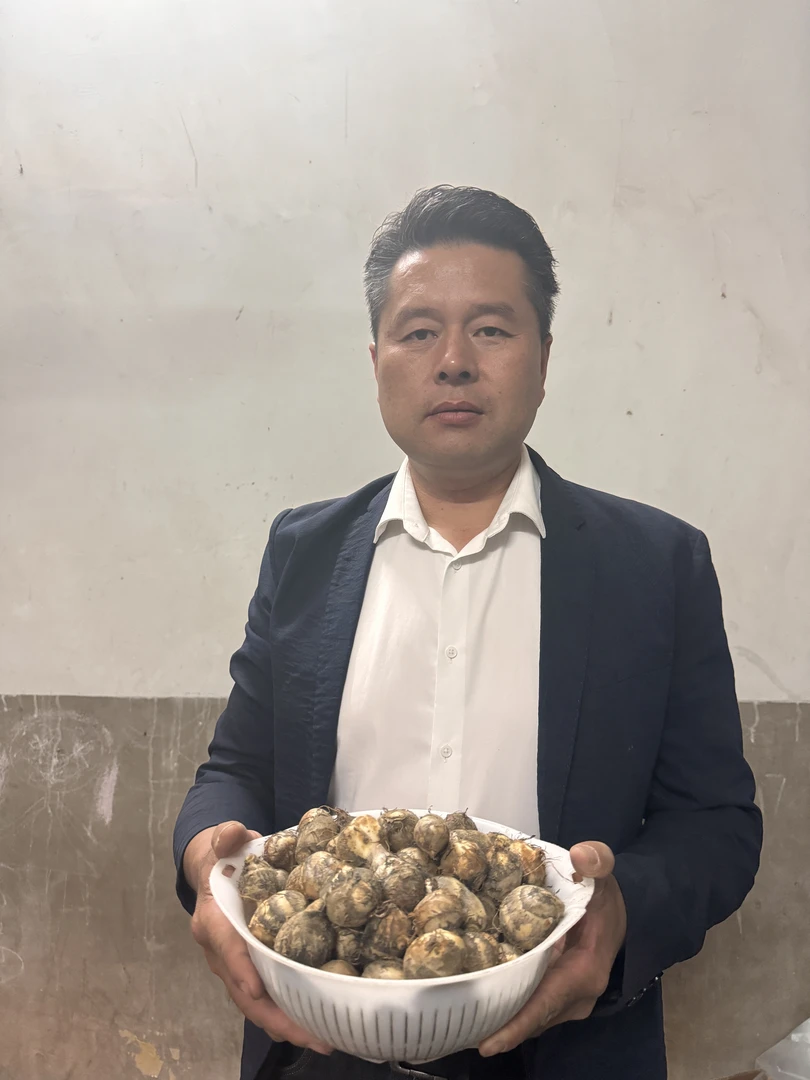 应城市江河村特产芋头