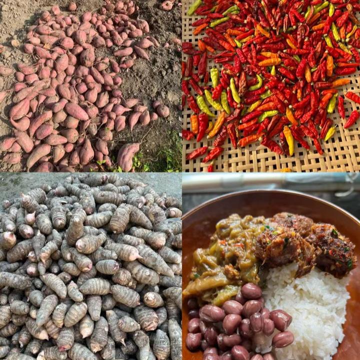 江河村各类农家蔬菜土菜现场称重（一物一拍，直播付款）