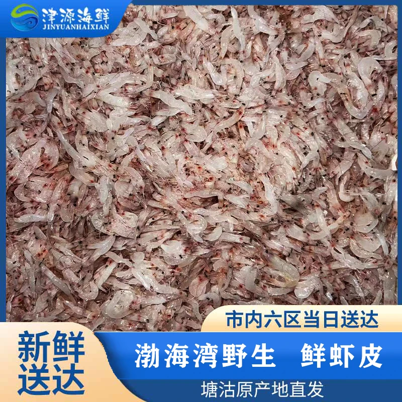 【津源海鲜】渤海湾野生（鲜虾皮新鲜营养）塘沽码头鲜发天津当日达