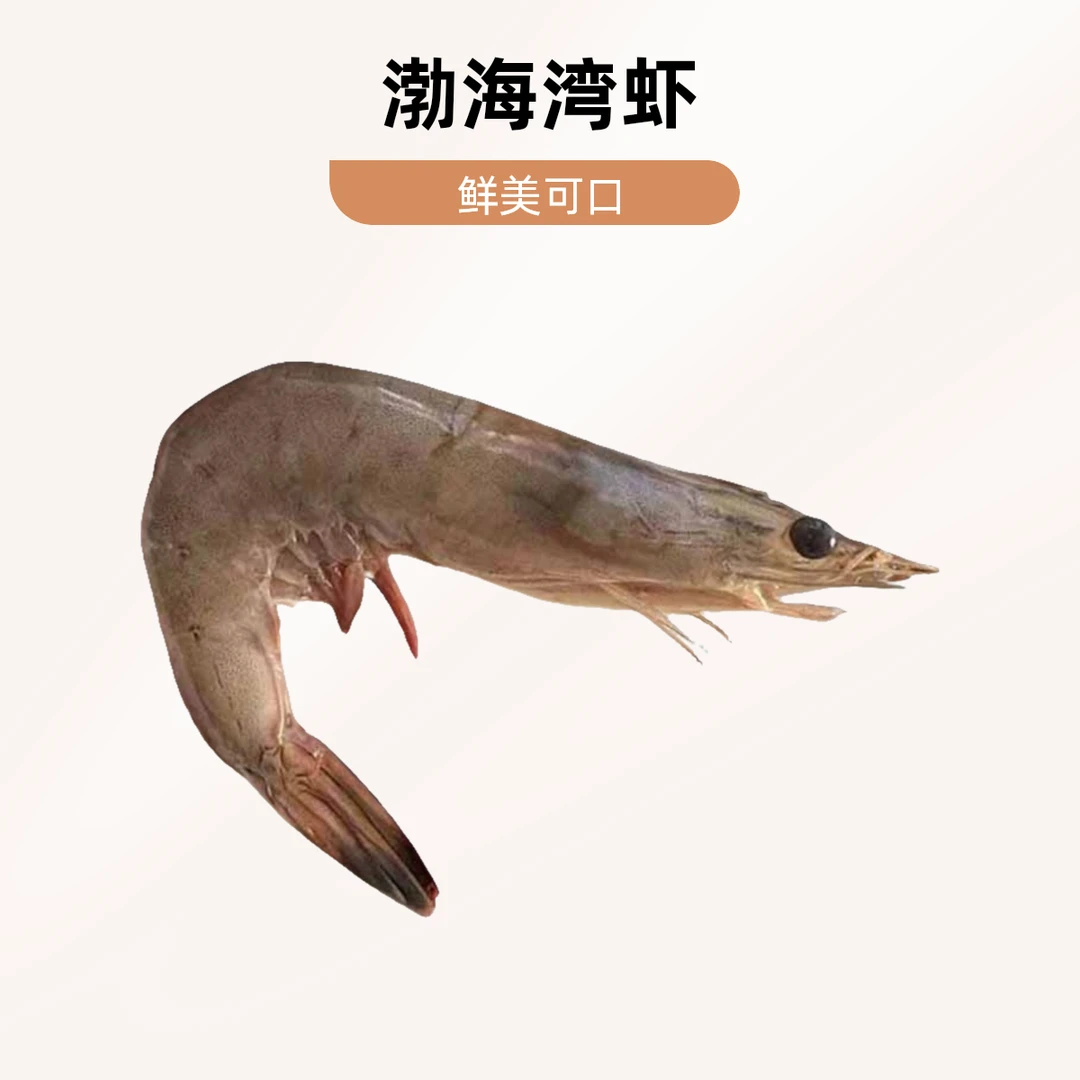 【津源】渤海湾野生大海虾(黄钳子)塘沽码头下船直发天津当日达