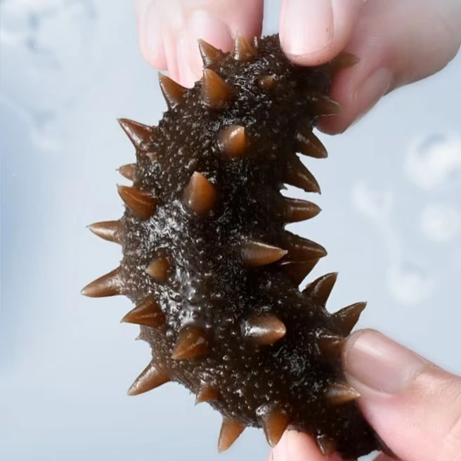 青岛即食海参50-60只左右(活参加工 顺丰包邮)加两只试