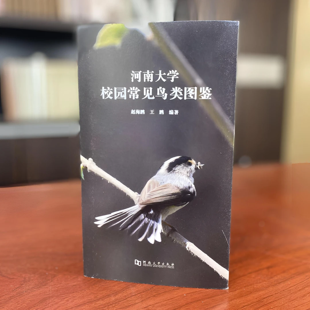 河南大学校园常见鸟类图鉴   河大社直发   正品包邮
