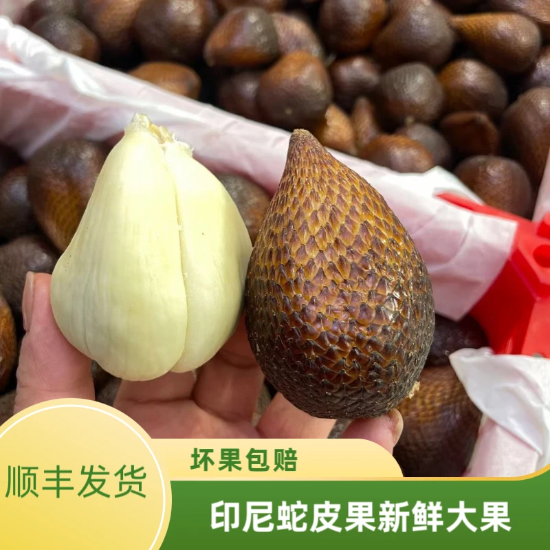 现货进口印尼蛇皮果鲜果当季新鲜热带水果记忆之果0.5-3斤装顺丰