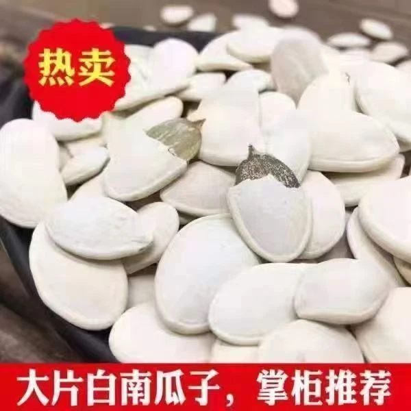 大白瓜子大粒炒货盐焗雪白营养休闲零食大白南瓜子