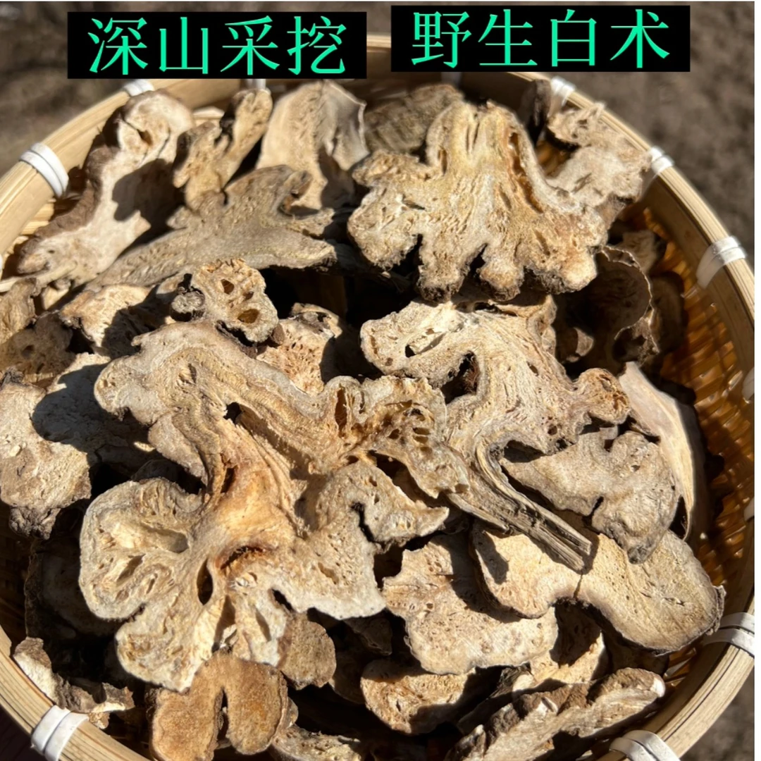 深山采挖野生白术250-500克
