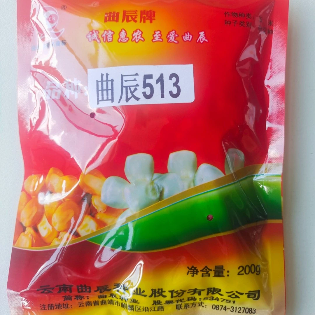 曲辰513玉米试验种