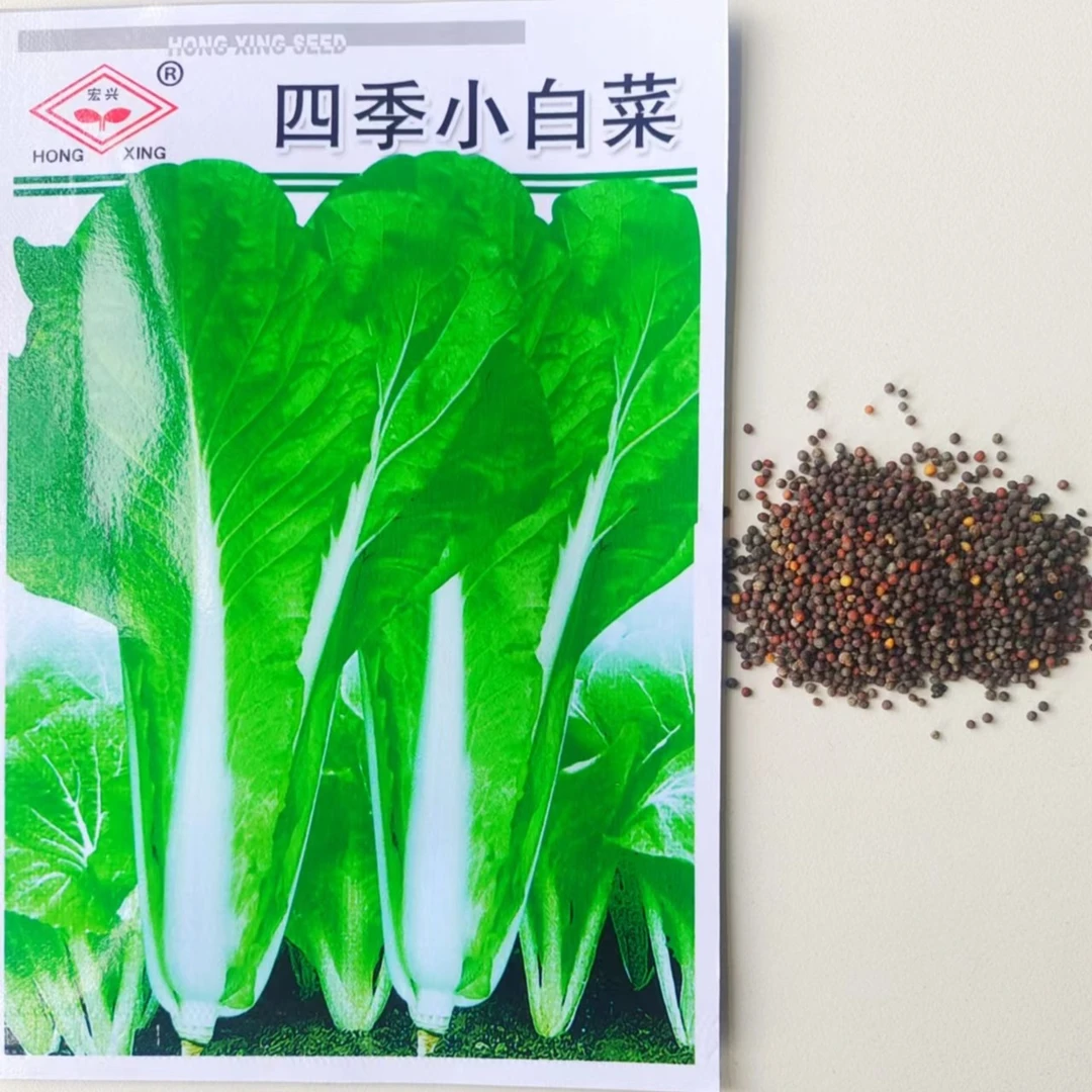 蔬菜种子 四季小白菜 粗纤维少 品质鲜嫩可口 耐热耐寒