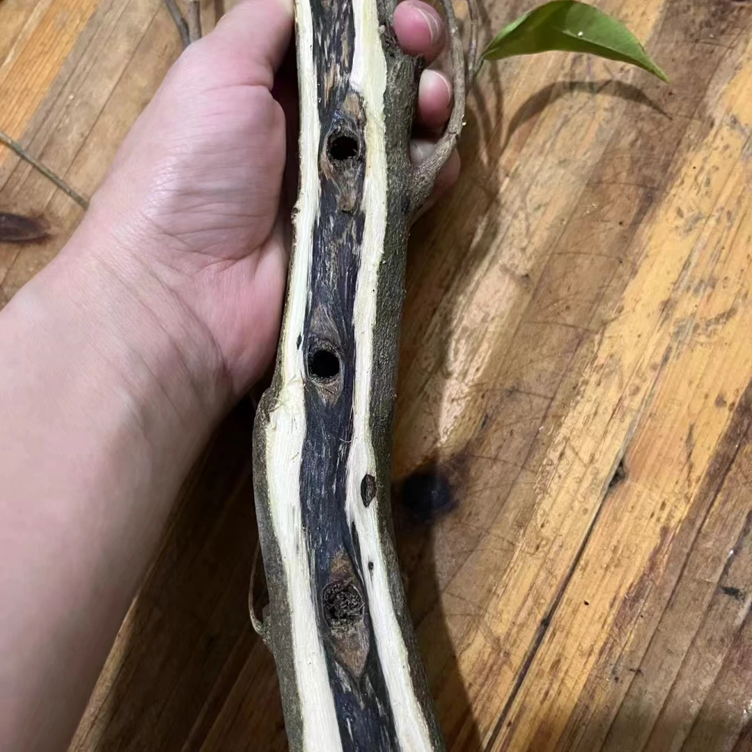 奇楠沉香原木（能做珠子，牌子，薰香）