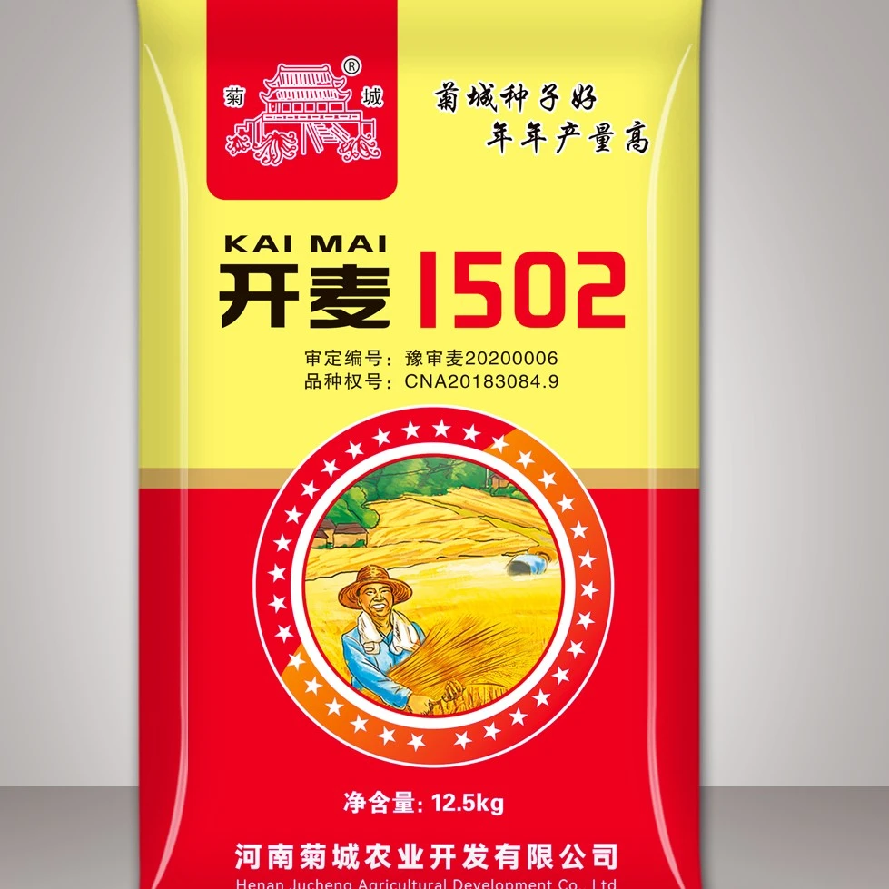 开麦1502小麦品种大穗，杆粗，大粒，产量高