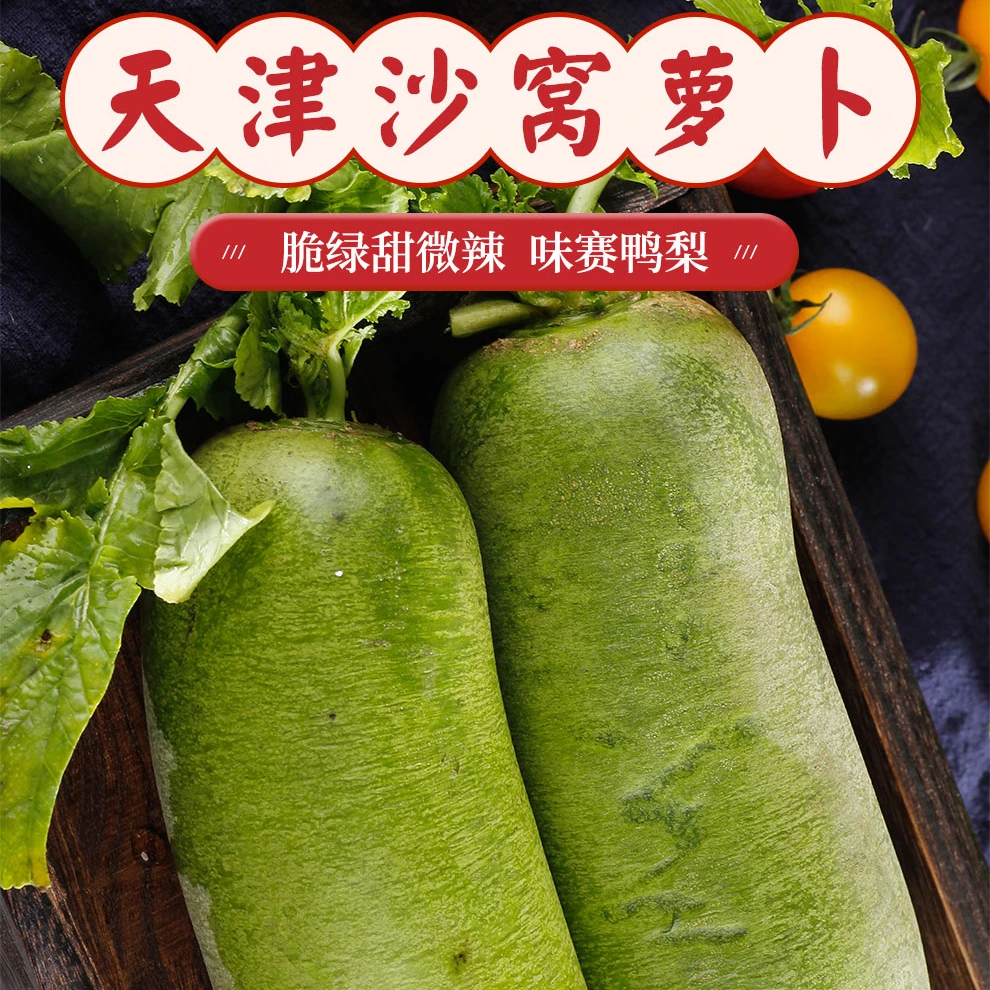 正宗沙窝萝卜天星二号金星酥脆甜水汽大天花板