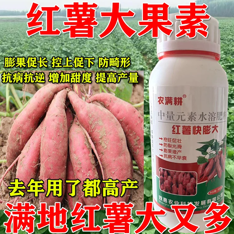 红薯专用肥红薯彭果膨大肥红薯控旺抗病不裂果多结果不小果正品药