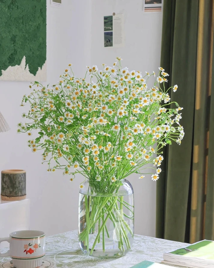 洋甘菊（一把）+醒花液