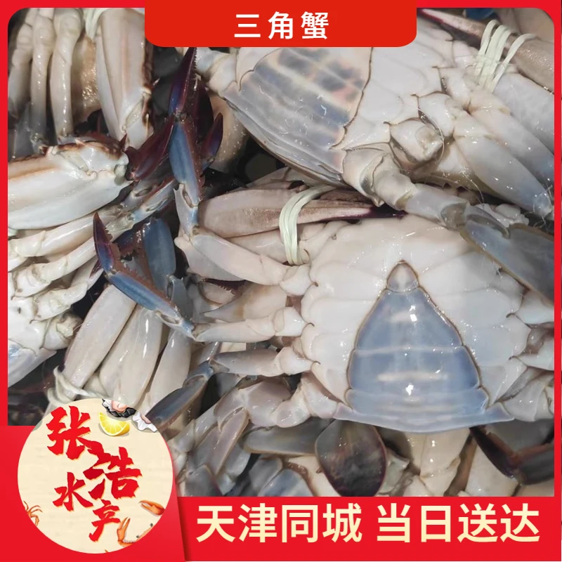 【保鲜不保活】三角蟹 每斤2-6只（单只1.8-4两）当日送达 断氧残蟹