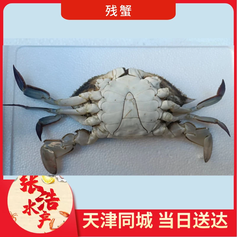 【保鲜不保活】残公蟹 每斤2-5只（单只2-5两） 天津同城当日达 断氧