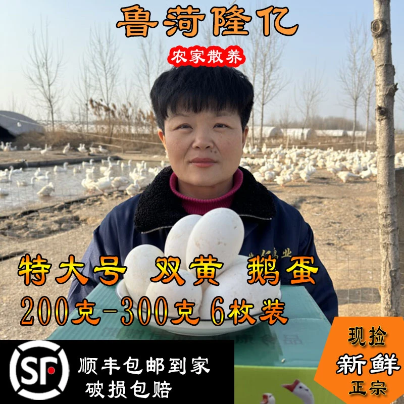 【特大双黄】保真土鹅蛋现捡现发新鲜农家一箱6枚破碎包赔200-300g
