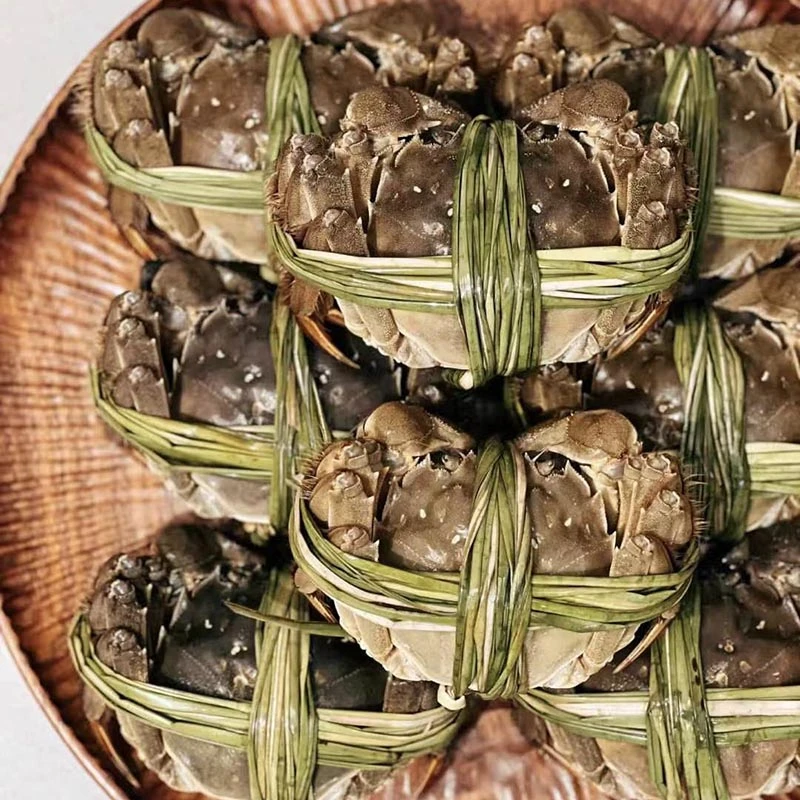 六月黄大闸蟹螃蟹6只公（1.5~1.7）两小时达 配送到家