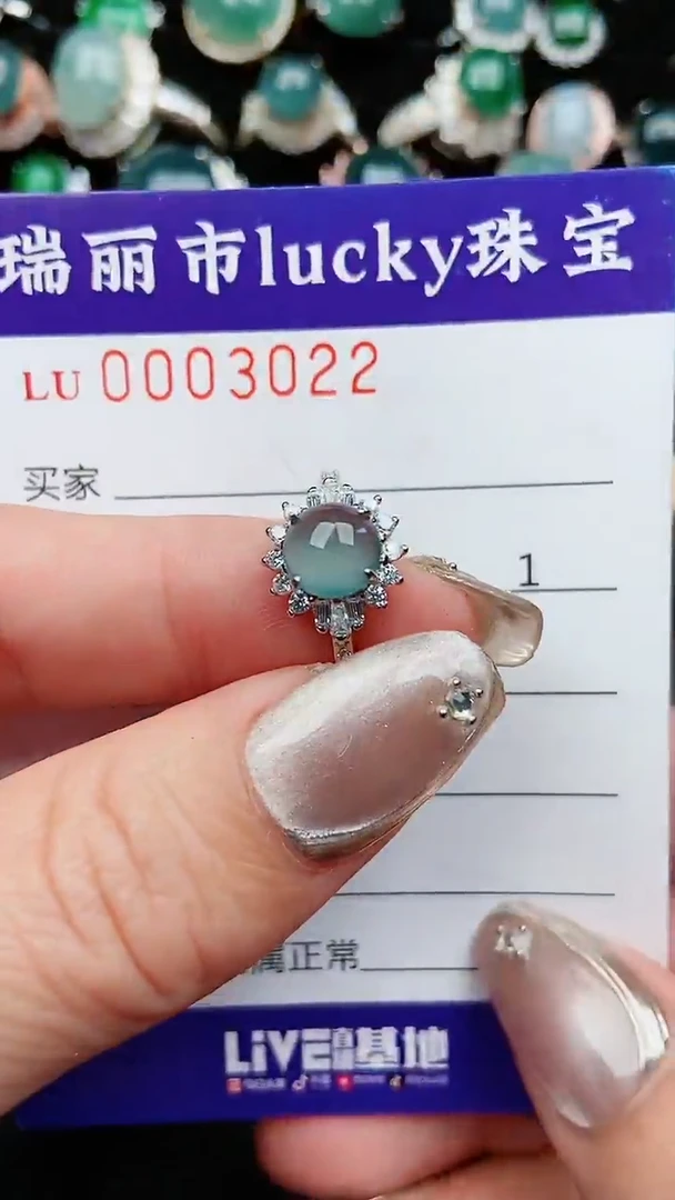 【闪购商品】翡翠颈饰银S925镶嵌22