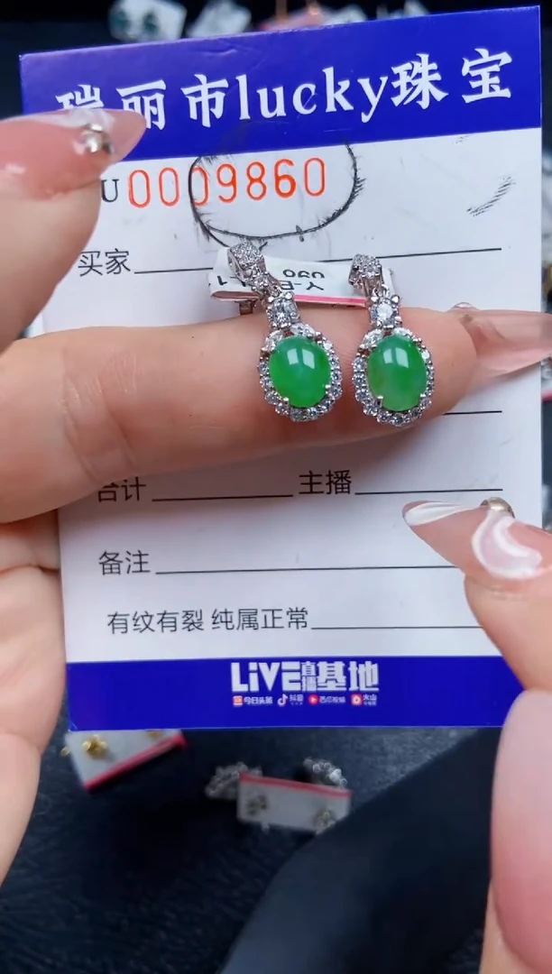 【闪购商品】翡翠颈饰银S925镶嵌9860