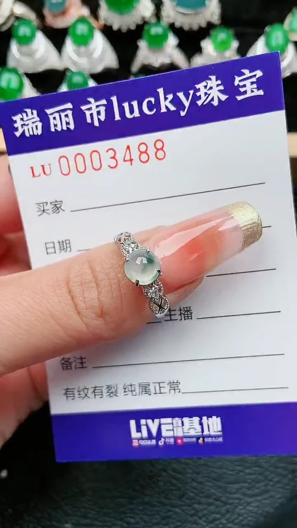 【闪购商品】翡翠颈饰银S925镶嵌488