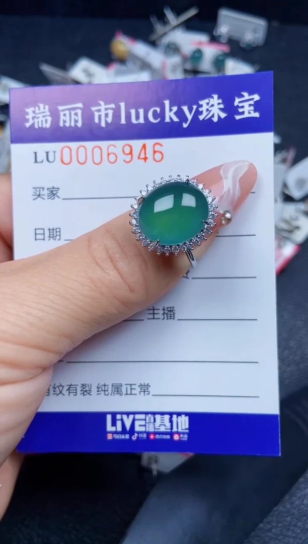【闪购商品】翡翠颈饰银S925镶嵌6946