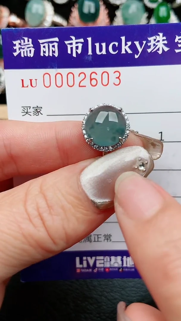 【闪购商品】翡翠颈饰银S925镶嵌603