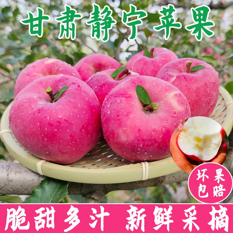 甘肃静宁红富士苹果正宗应当季孕妇水果脆甜现摘现发整箱5斤