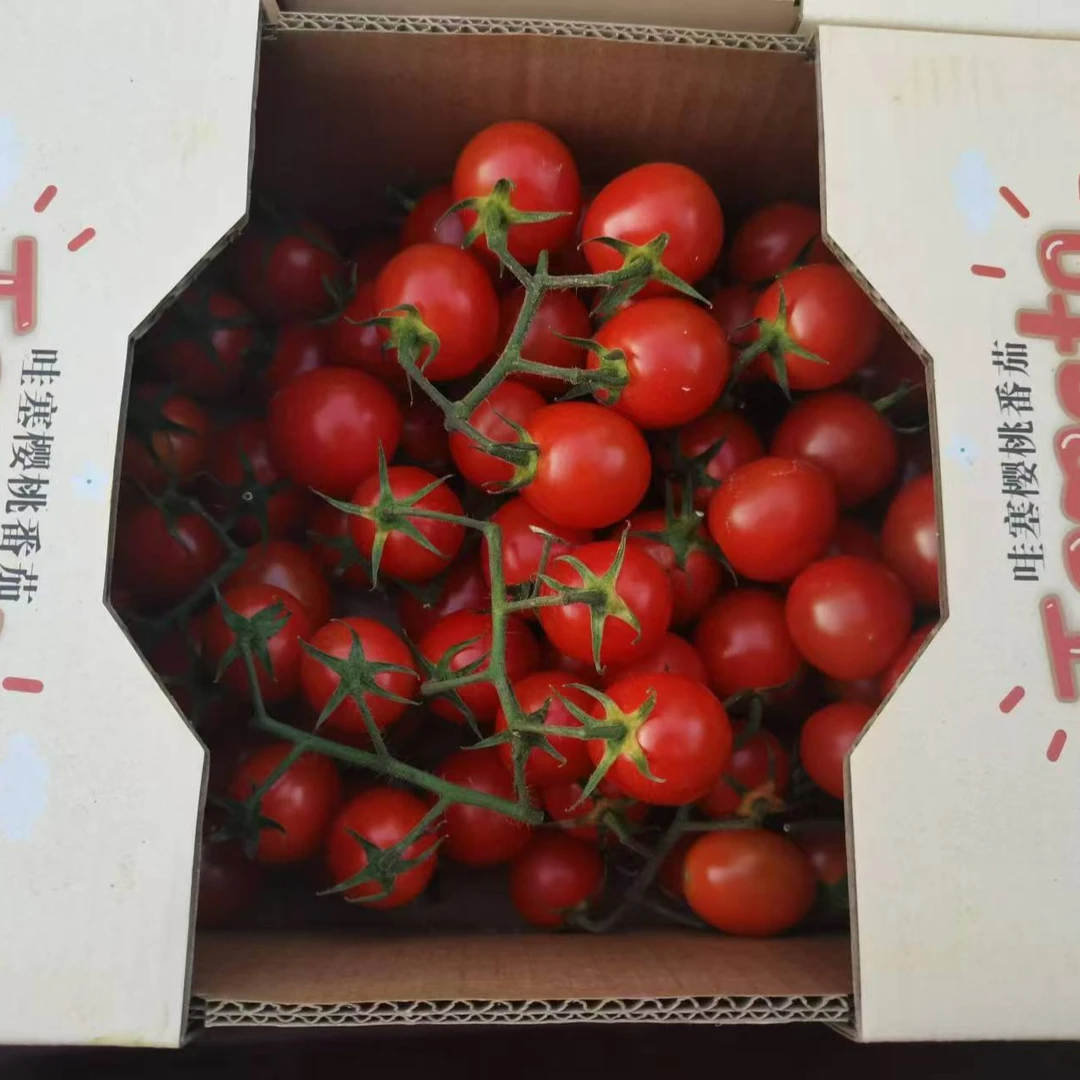 悦果先生小番茄（一箱）