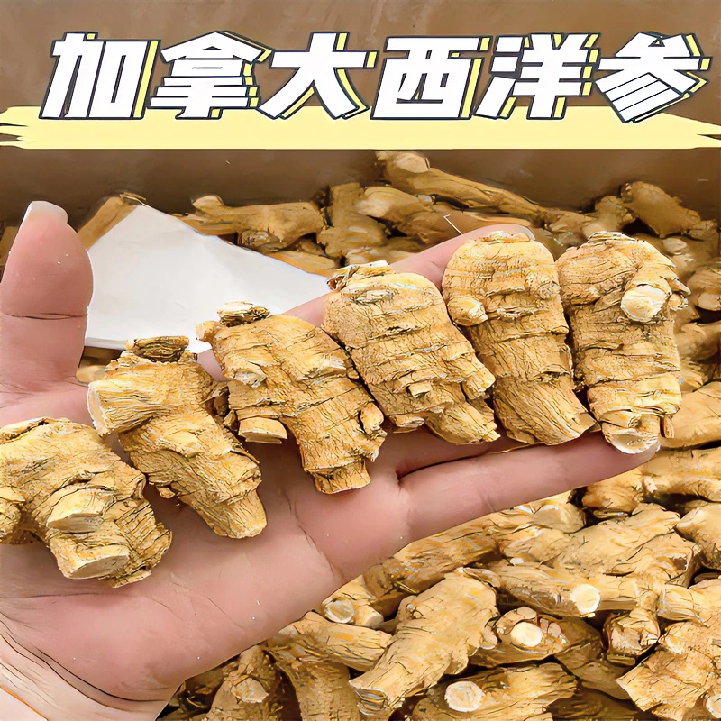 加拿大西洋参10克挑选圆粒花旗参原装进口软质西洋参含片无硫熏染