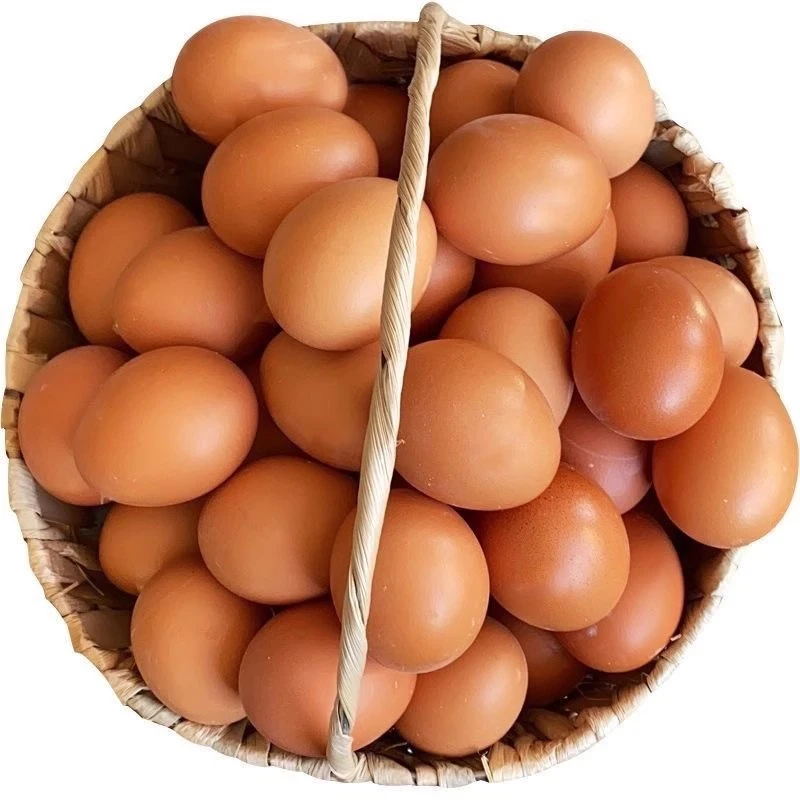 红皮鸡蛋农家散养新鲜鸡蛋纯农村自养天然1盘鸡蛋家庭食用